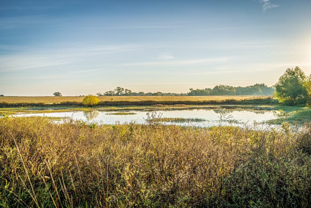 A Legacy of the Land - 316 Acres of Pride and Heritage