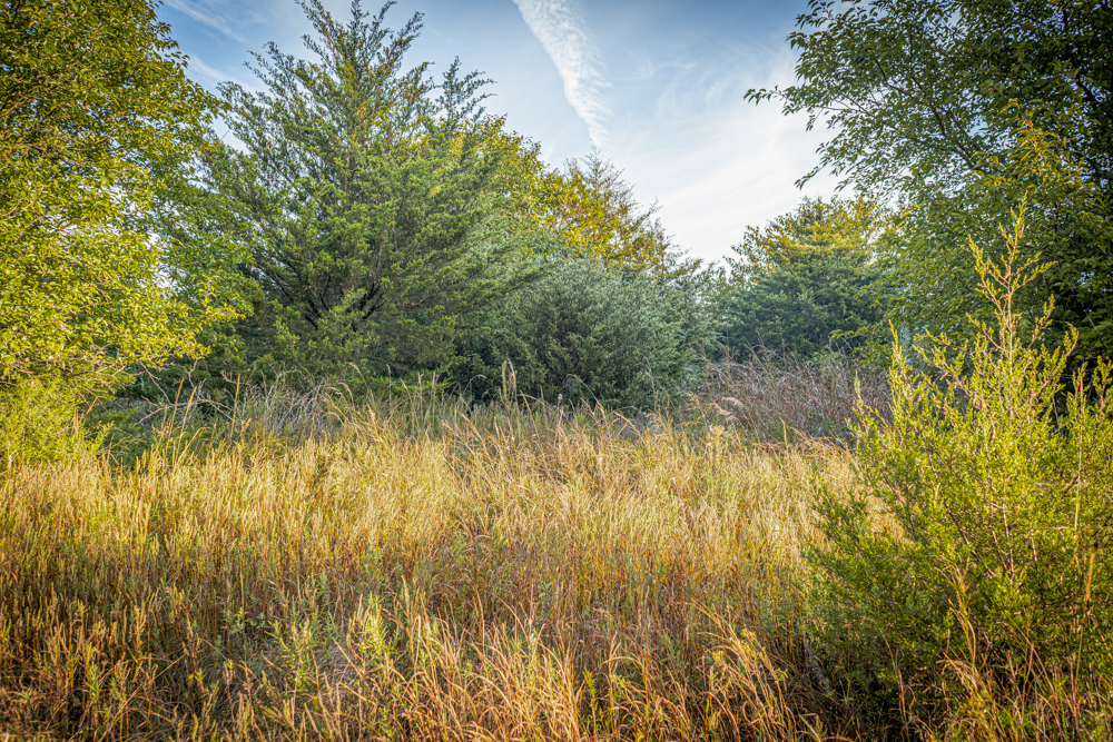 A Legacy of the Land - 316 Acres of Pride and Heritage