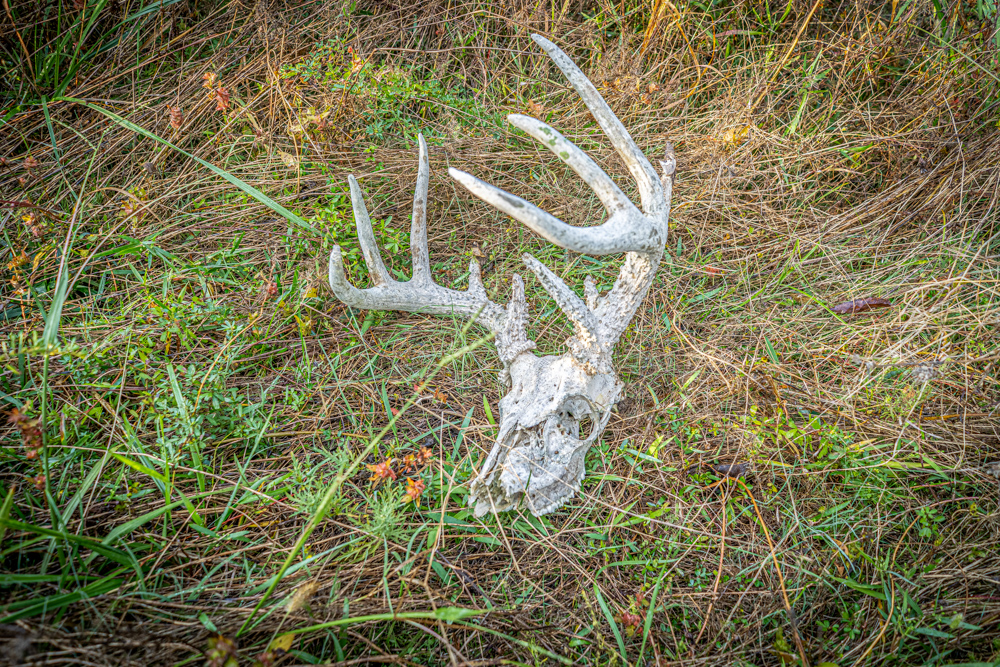 A Legacy of the Land - 316 Acres of Pride and Heritage