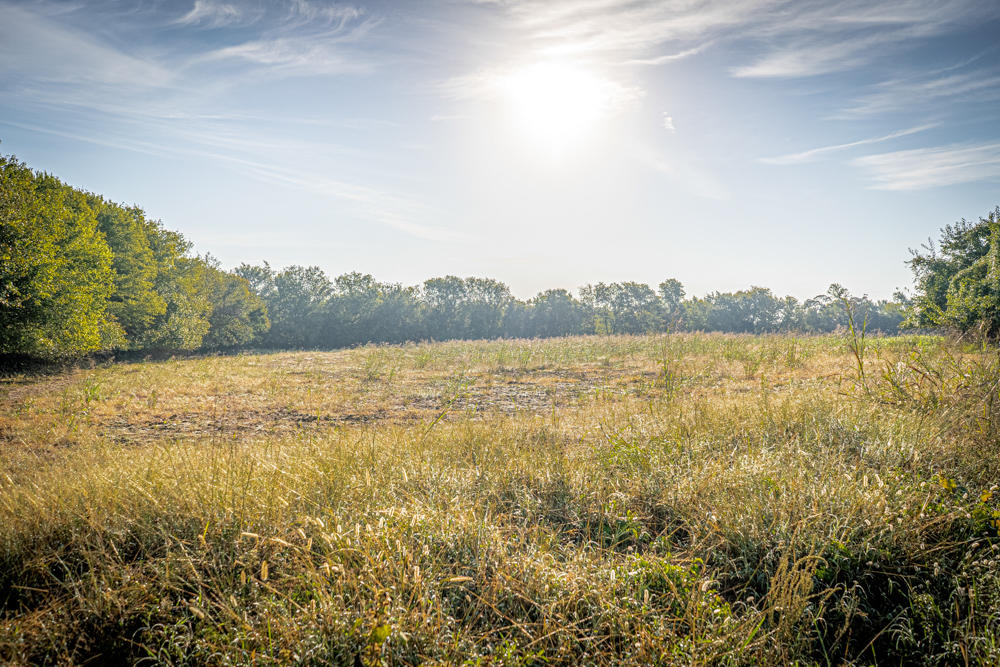A Legacy of the Land - 316 Acres of Pride and Heritage
