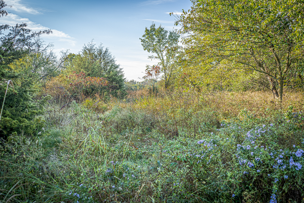 A Legacy of the Land - 316 Acres of Pride and Heritage