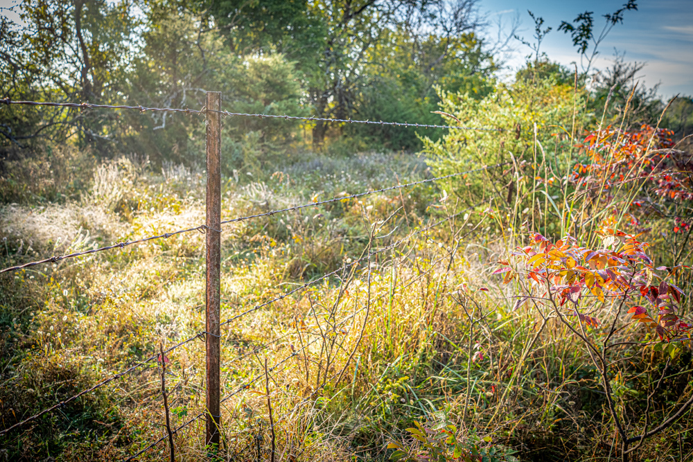 A Legacy of the Land - 316 Acres of Pride and Heritage