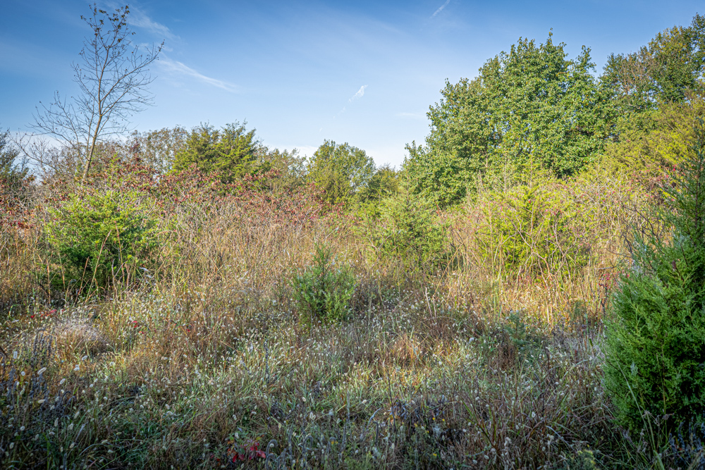 A Legacy of the Land - 316 Acres of Pride and Heritage