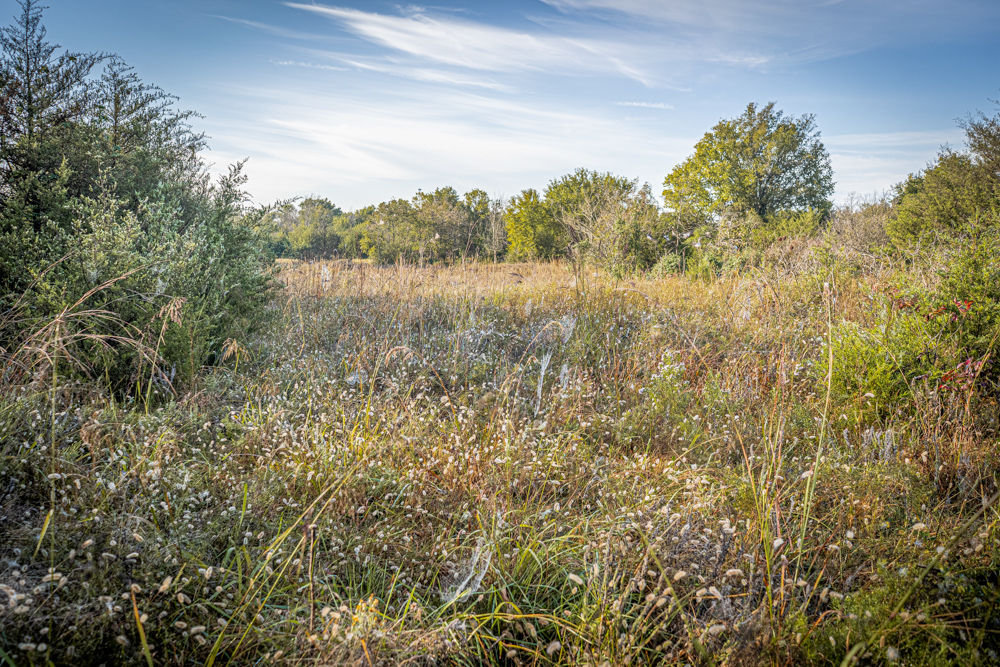 A Legacy of the Land - 316 Acres of Pride and Heritage