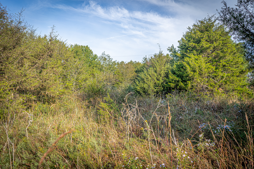 A Legacy of the Land - 316 Acres of Pride and Heritage