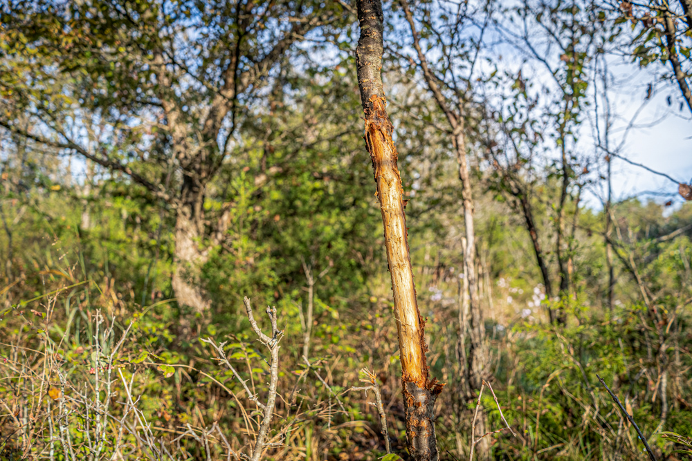 A Legacy of the Land - 316 Acres of Pride and Heritage