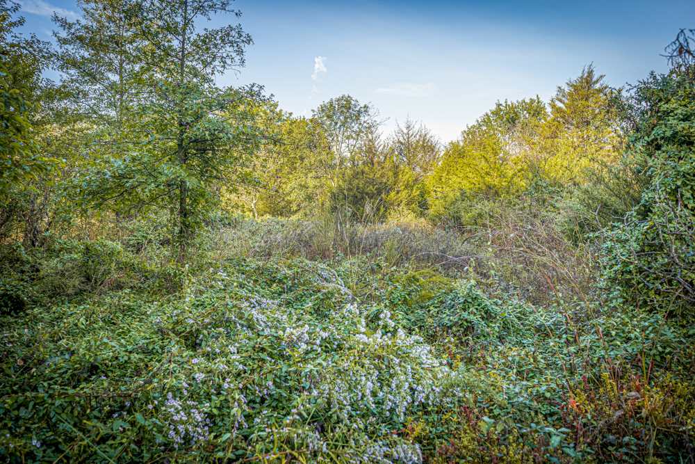 A Legacy of the Land - 316 Acres of Pride and Heritage