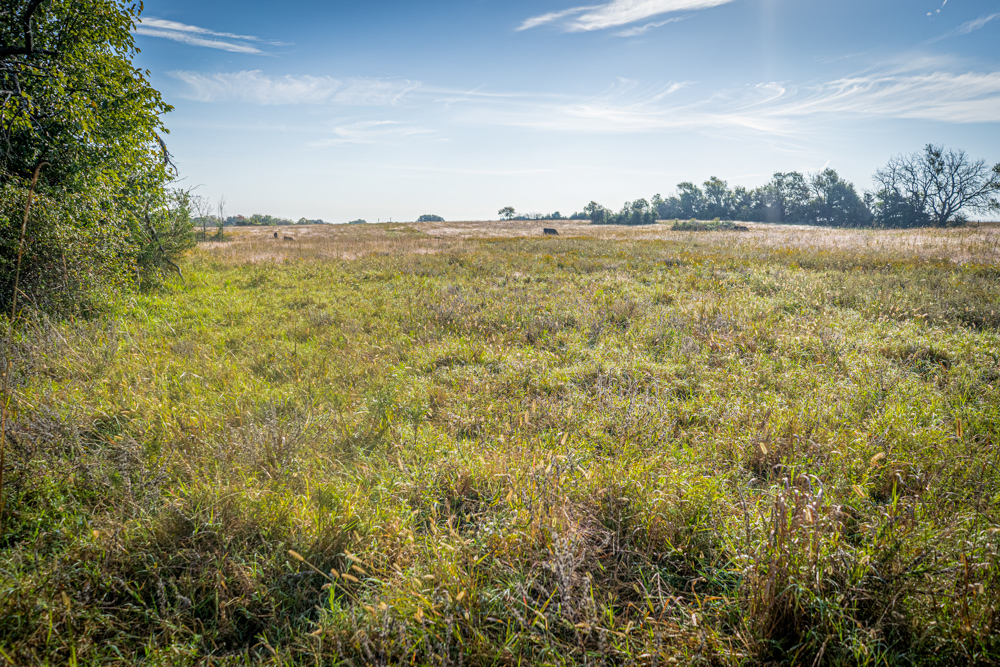 A Legacy of the Land - 316 Acres of Pride and Heritage