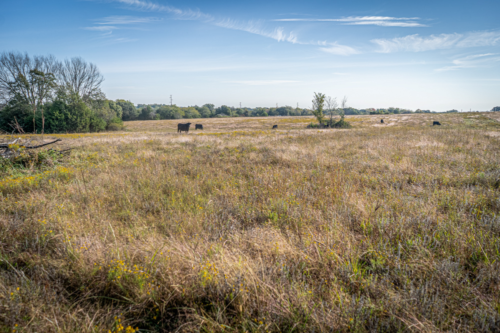 A Legacy of the Land - 316 Acres of Pride and Heritage