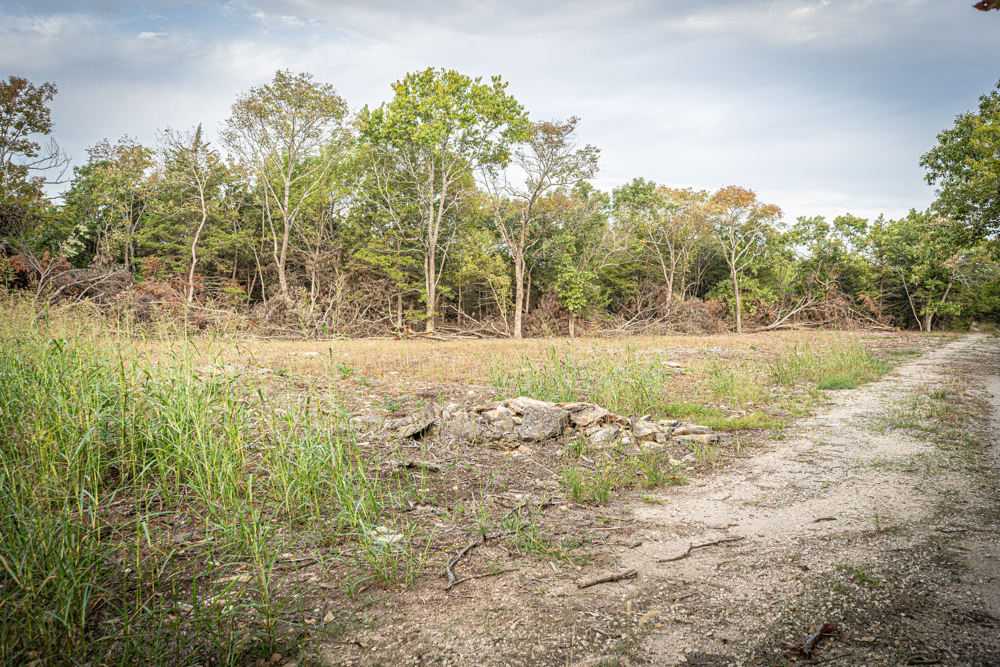 Big Bucks, Big Timber, and Big Income