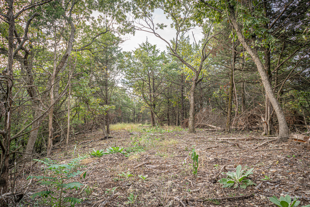 Big Bucks, Big Timber, and Big Income