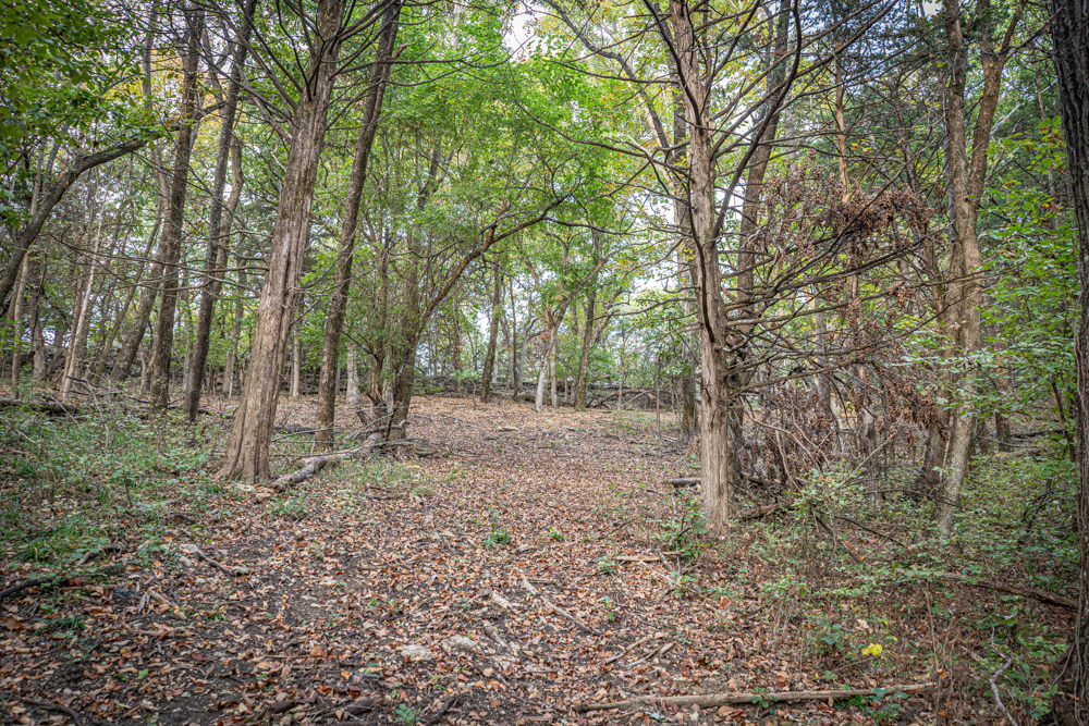 Big Bucks, Big Timber, and Big Income