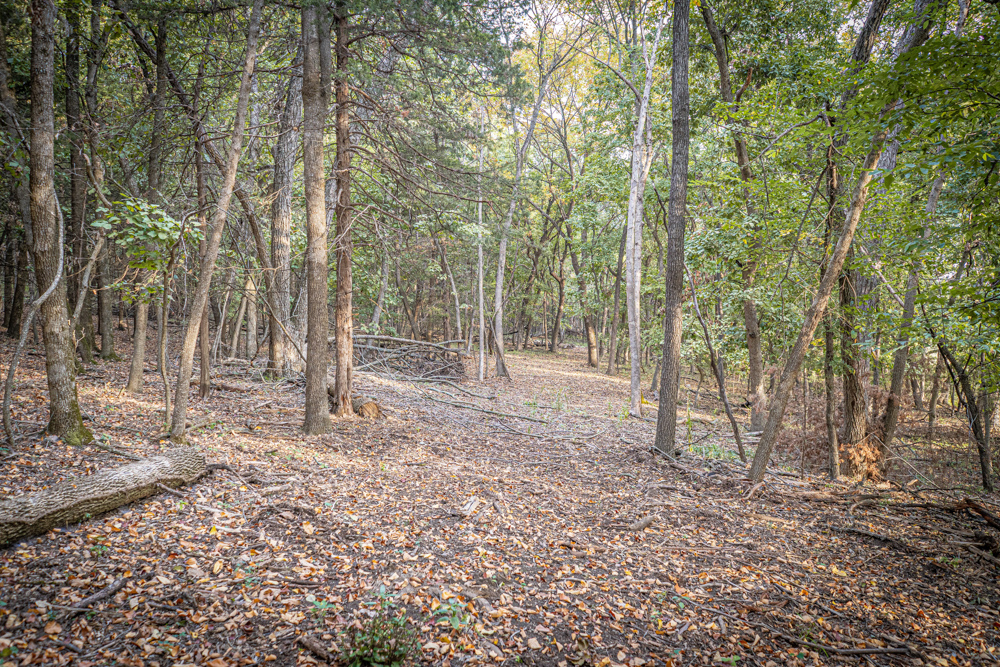 Big Bucks, Big Timber, and Big Income