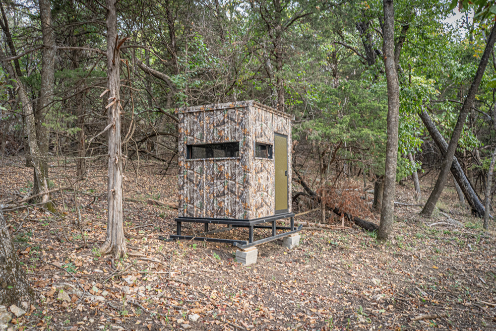 Big Bucks, Big Timber, and Big Income