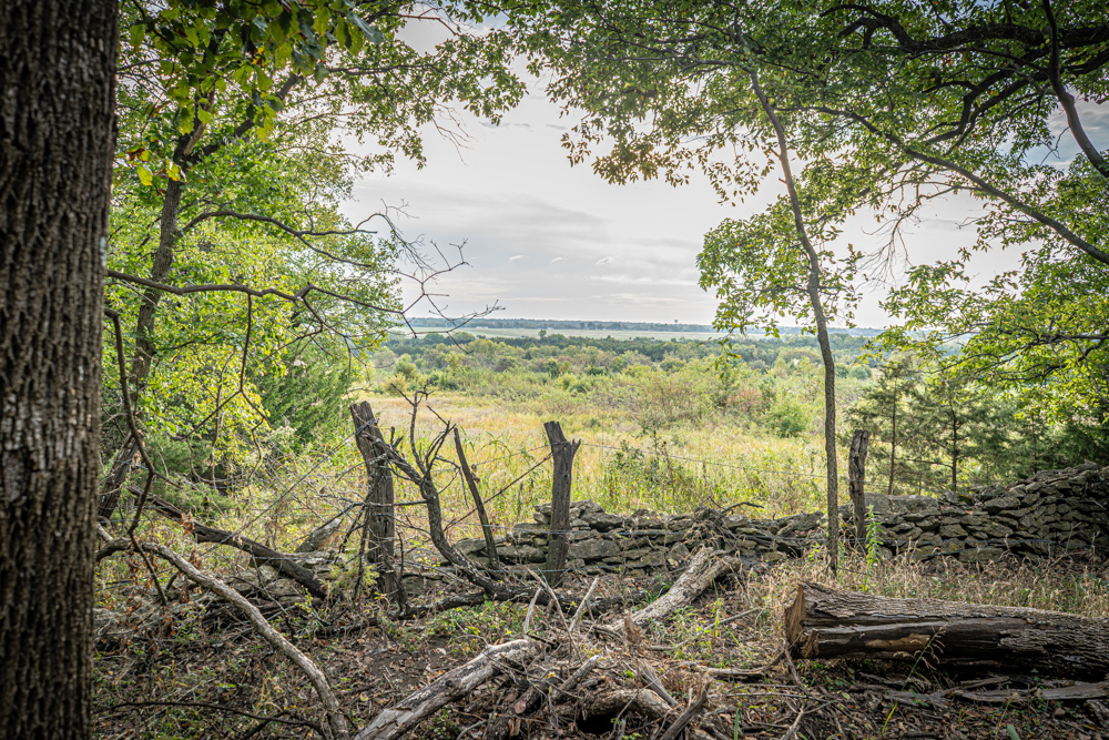 Big Bucks, Big Timber, and Big Income