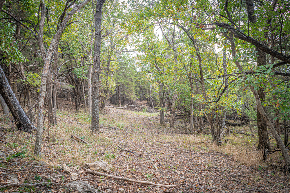 Big Bucks, Big Timber, and Big Income