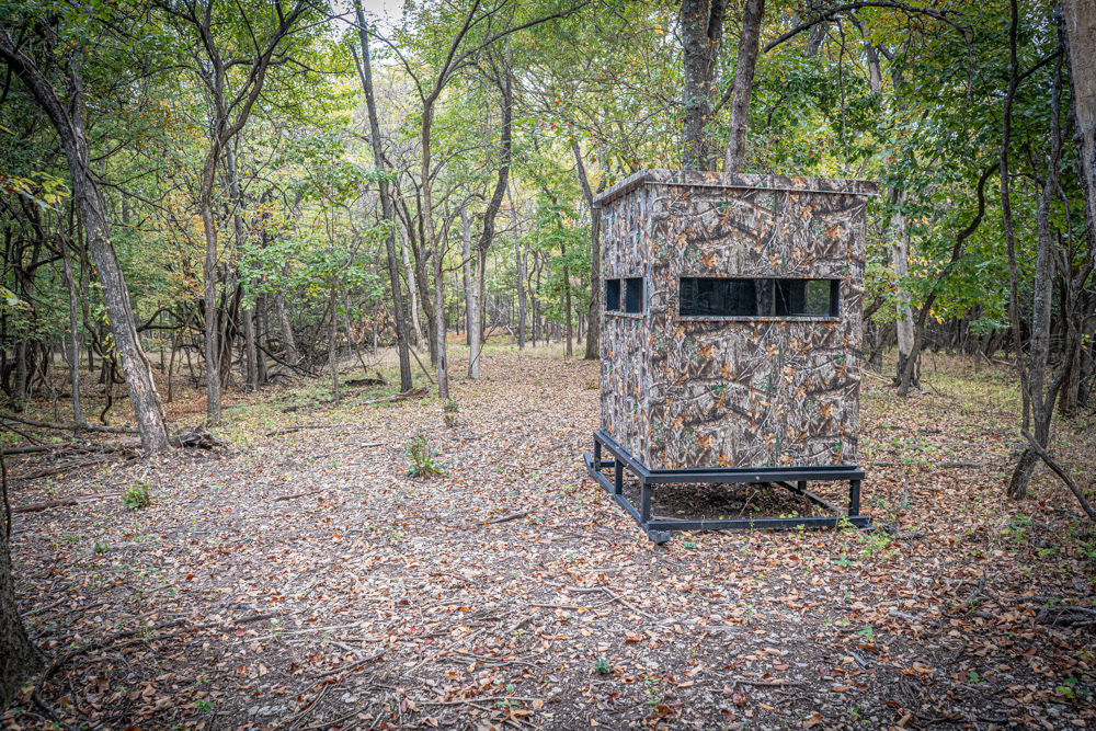 Big Bucks, Big Timber, and Big Income