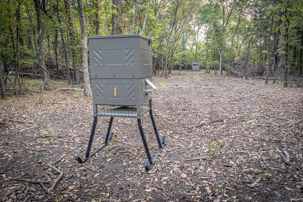 Big Bucks, Big Timber, and Big Income