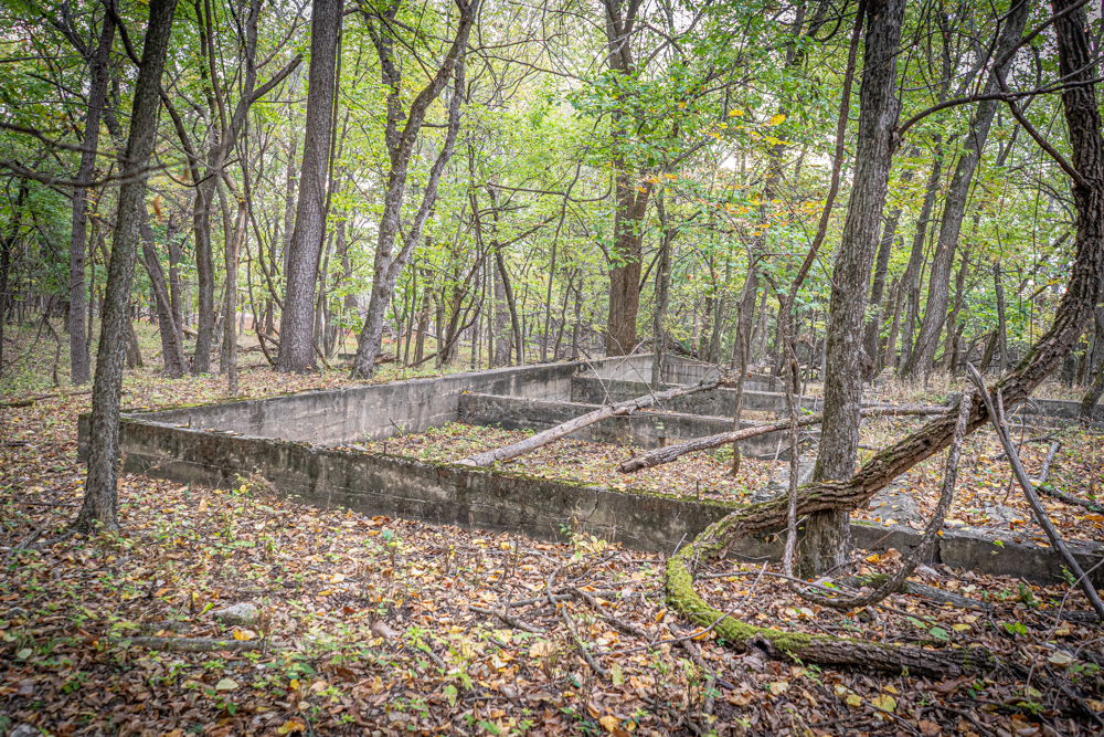 Big Bucks, Big Timber, and Big Income