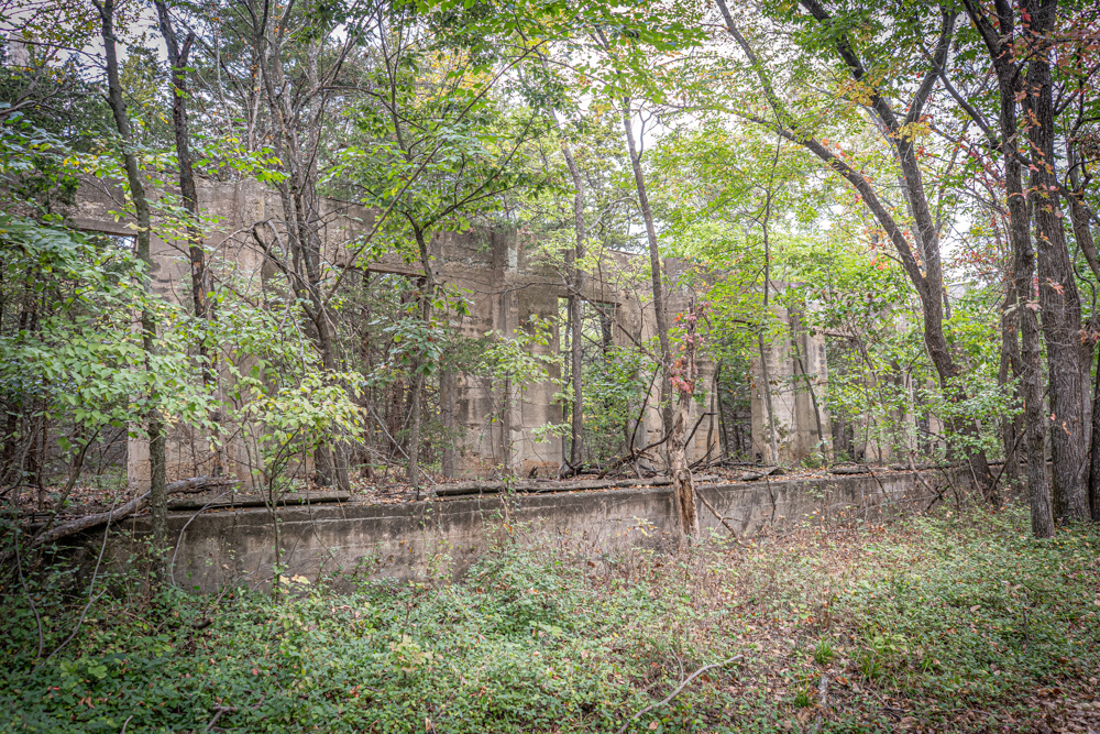 Big Bucks, Big Timber, and Big Income