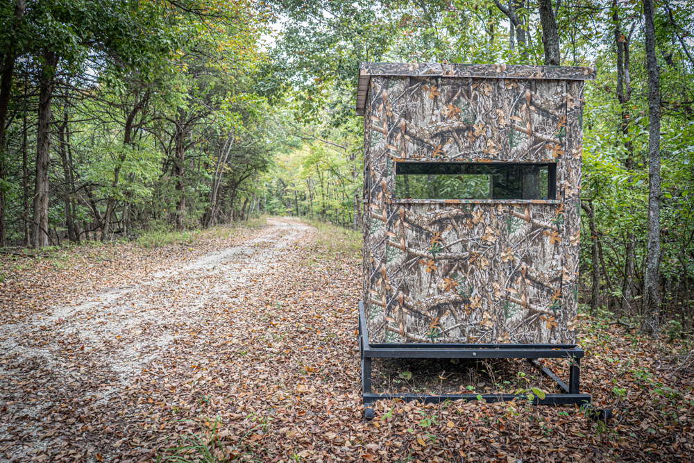 Big Bucks, Big Timber, and Big Income