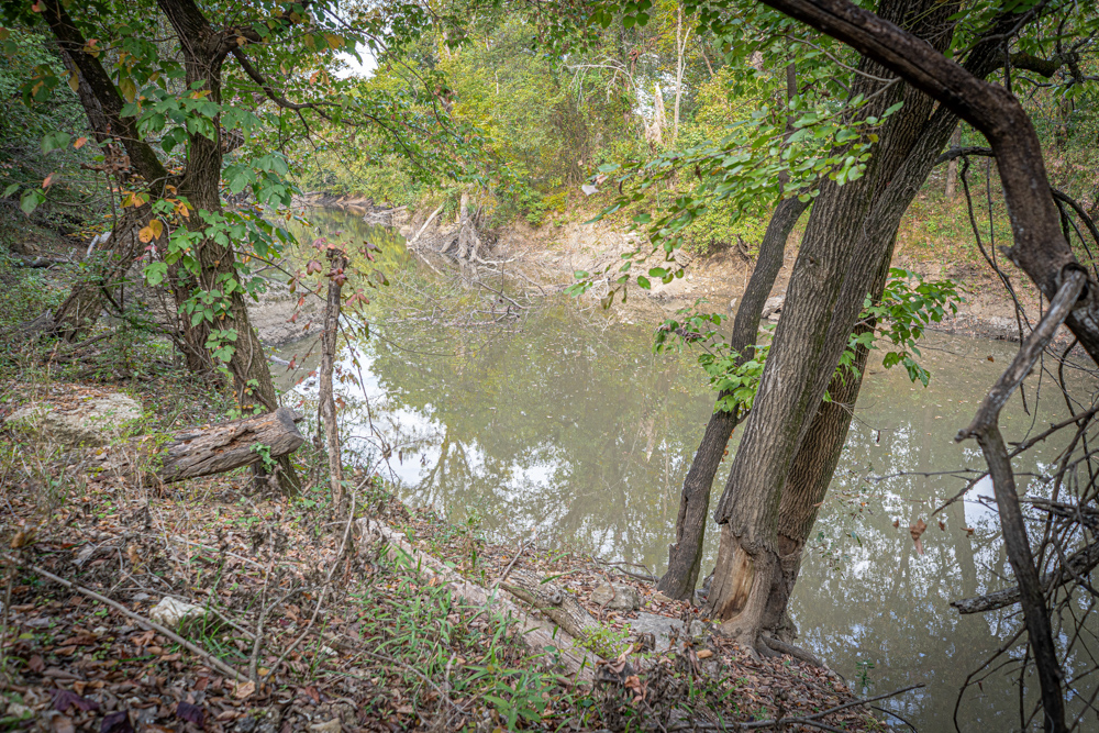 Big Bucks, Big Timber, and Big Income