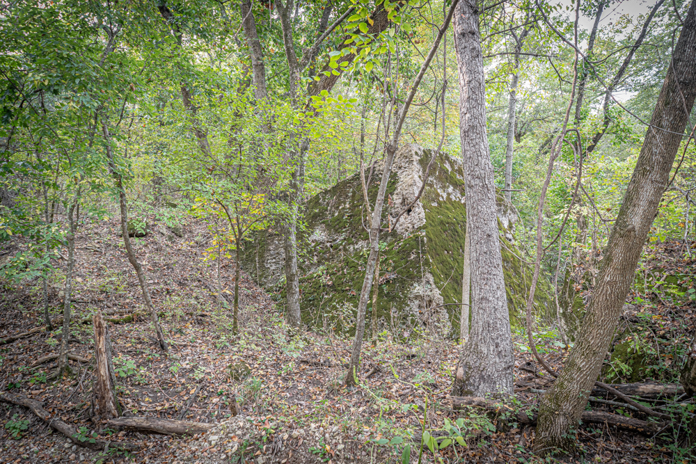 Big Bucks, Big Timber, and Big Income