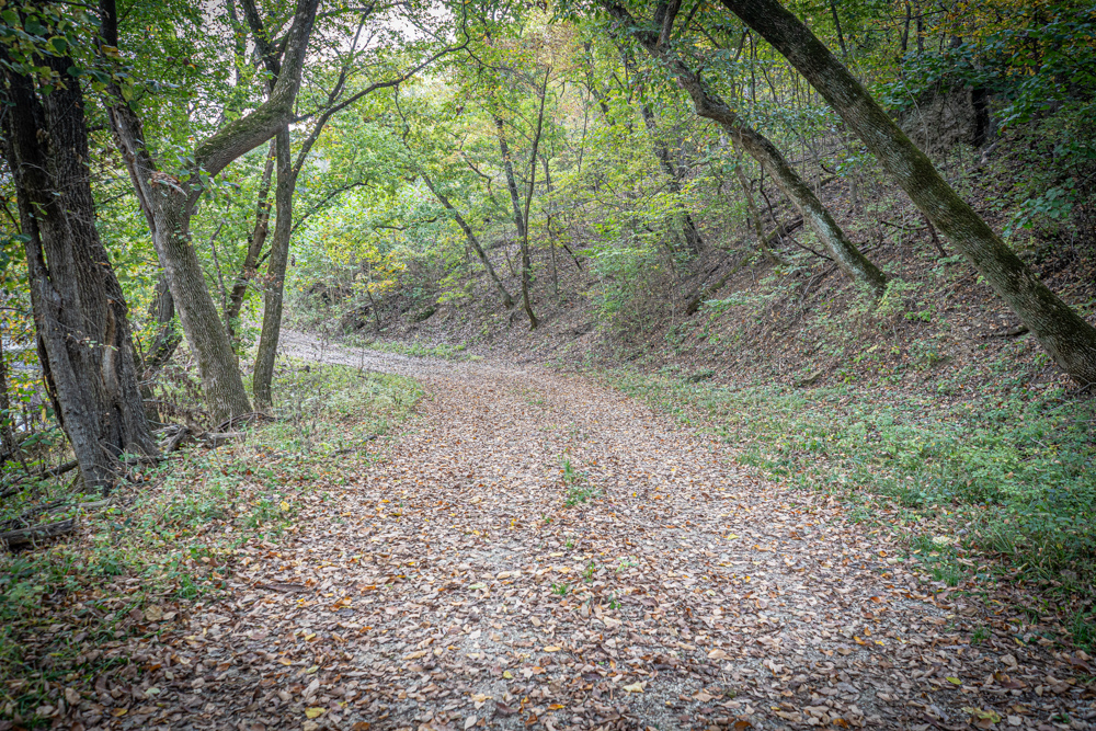 Big Bucks, Big Timber, and Big Income