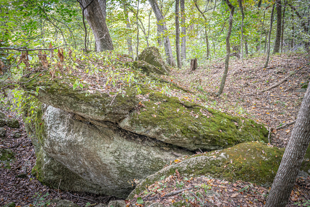 Big Bucks, Big Timber, and Big Income
