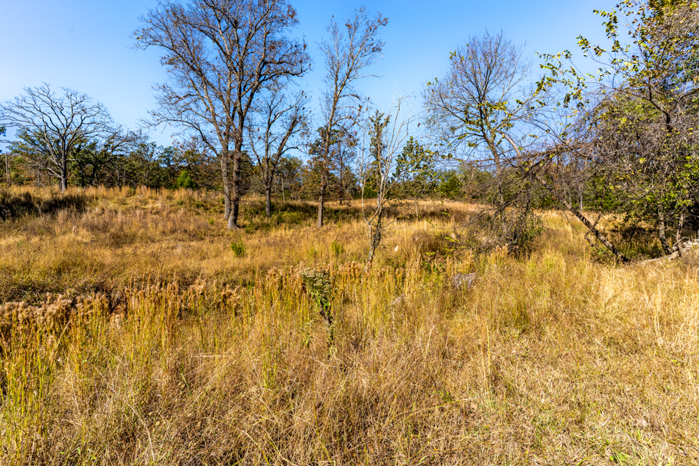 3-Bed, 2-Bath Mobile and Shop on 5 +/- Acres