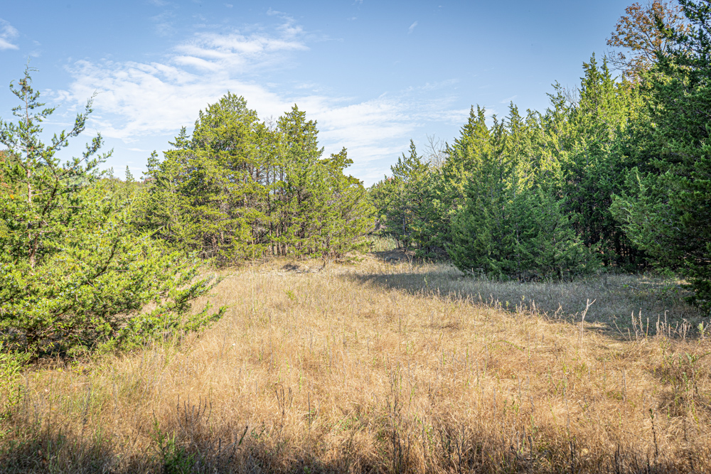 Big Bucks, Big Timber, and Big Income