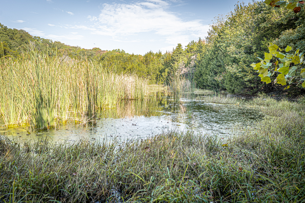 Big Bucks, Big Timber, and Big Income