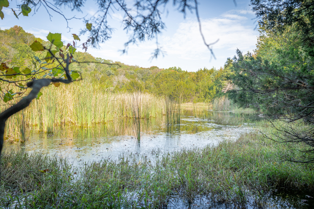 Big Bucks, Big Timber, and Big Income