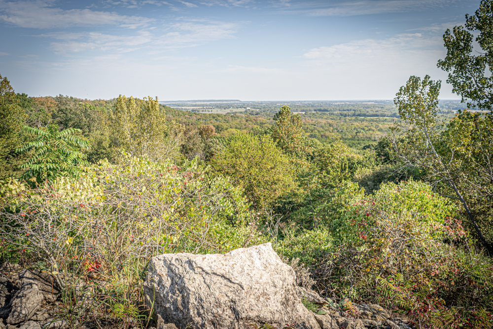 Big Bucks, Big Timber, and Big Income