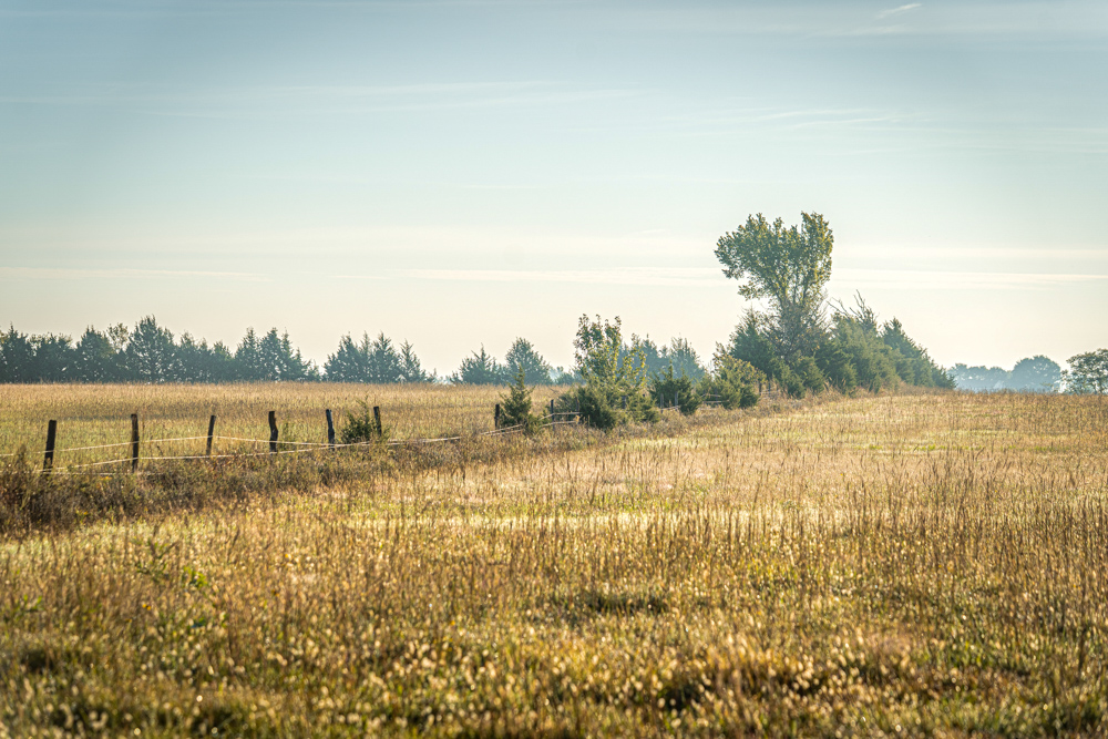A Legacy of the Land - 316 Acres of Pride and Heritage
