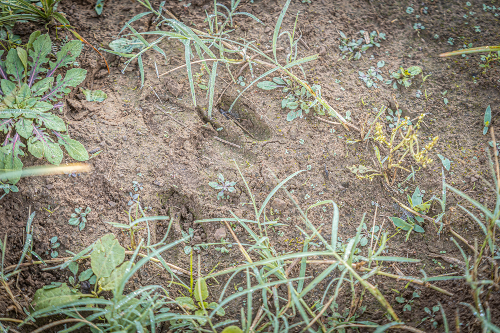 A Legacy of the Land - 316 Acres of Pride and Heritage