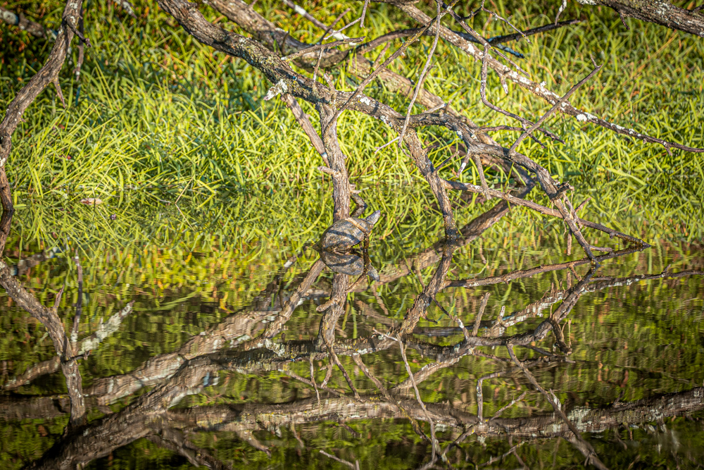 A Legacy of the Land - 316 Acres of Pride and Heritage