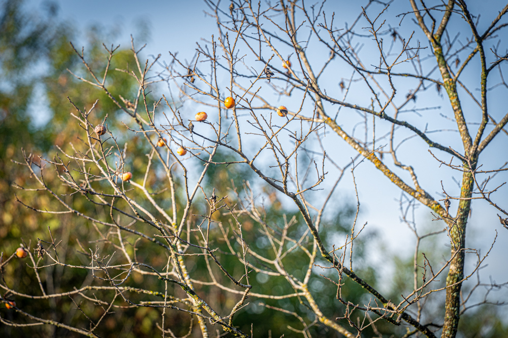 A Legacy of the Land - 316 Acres of Pride and Heritage