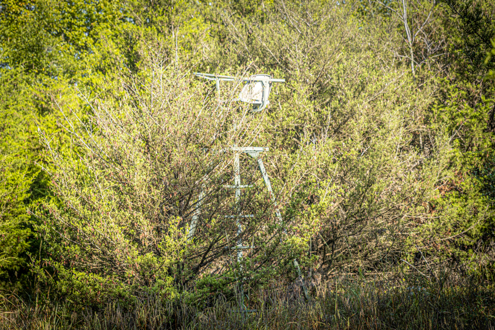 A Legacy of the Land - 316 Acres of Pride and Heritage