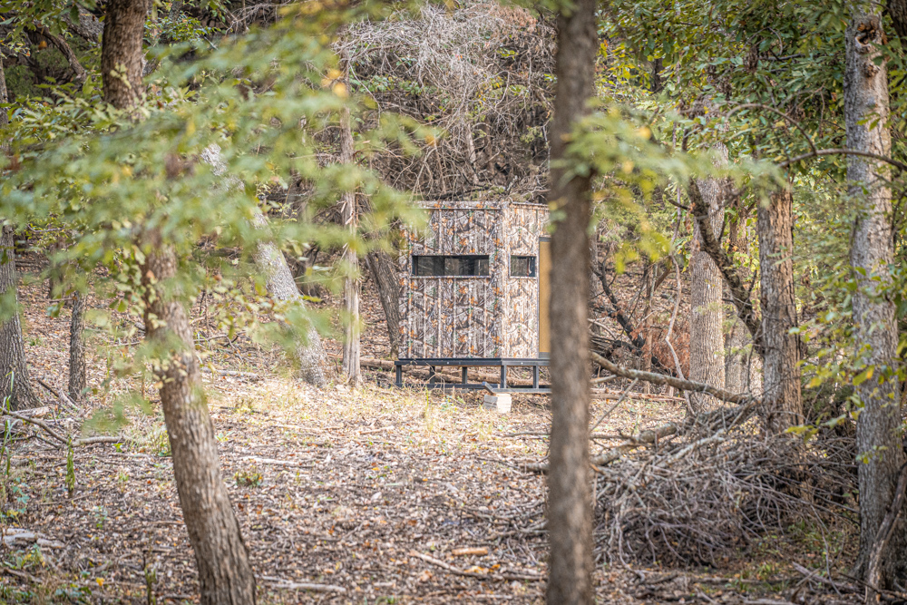 Big Bucks, Big Timber, and Big Income