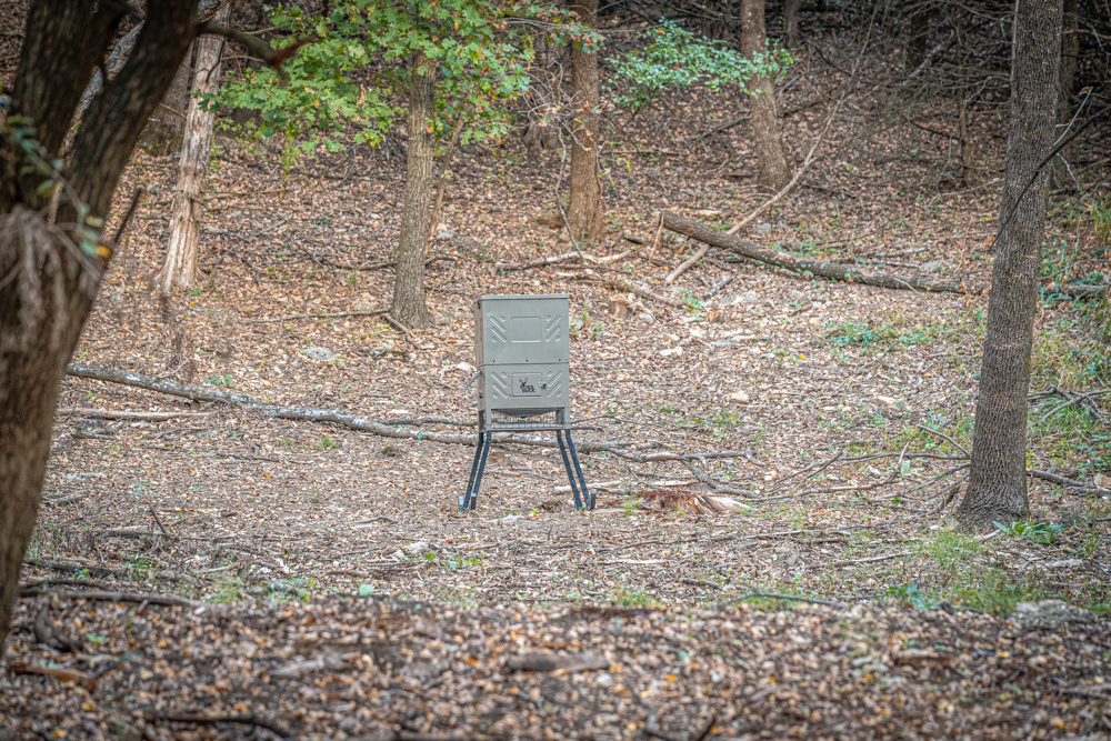 Big Bucks, Big Timber, and Big Income