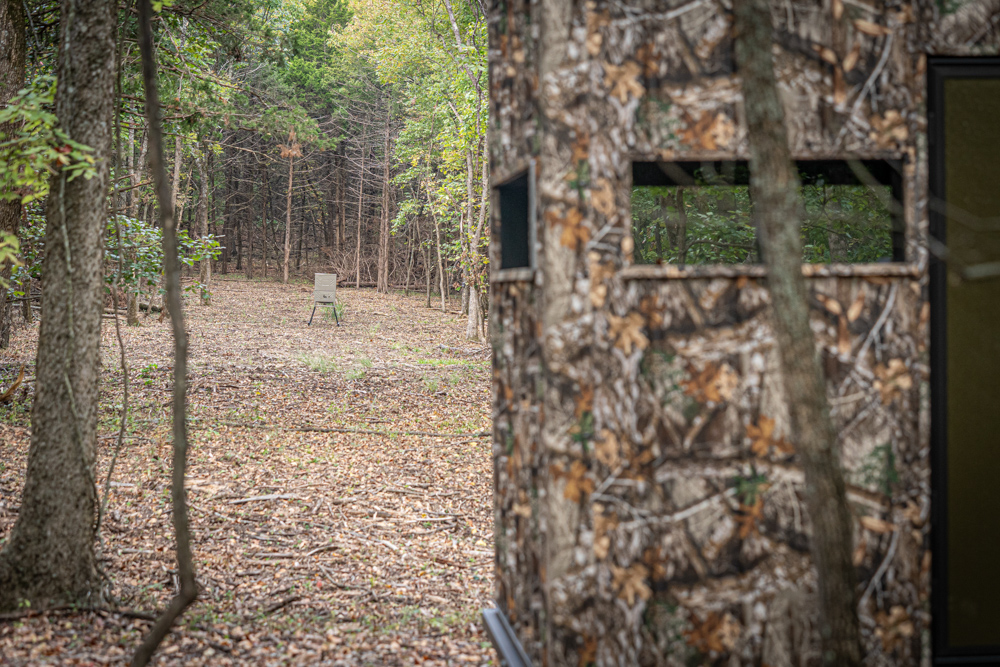 Big Bucks, Big Timber, and Big Income