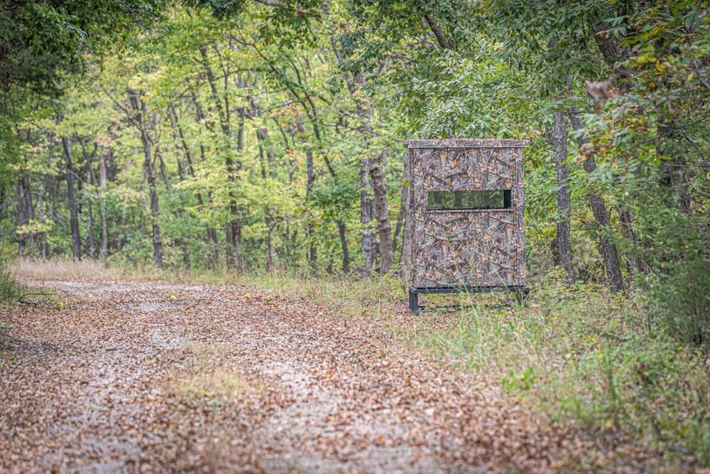 Big Bucks, Big Timber, and Big Income