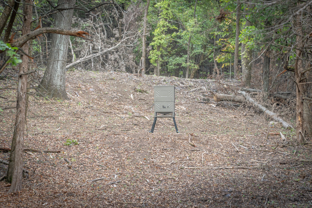 Big Bucks, Big Timber, and Big Income