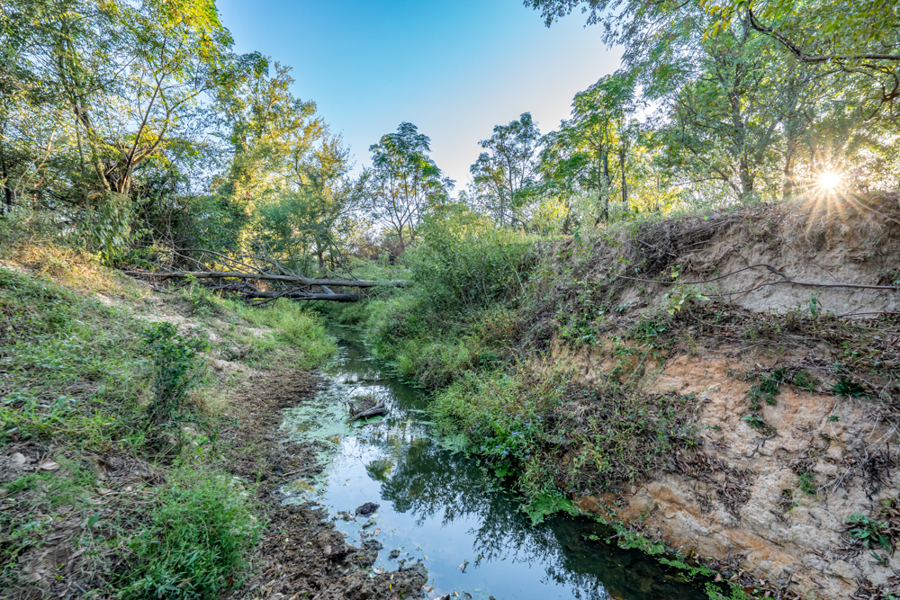 Stunning Multi-Purpose Farm Just 4 Minutes From Award Winning Bass Fishing on Lake Fork