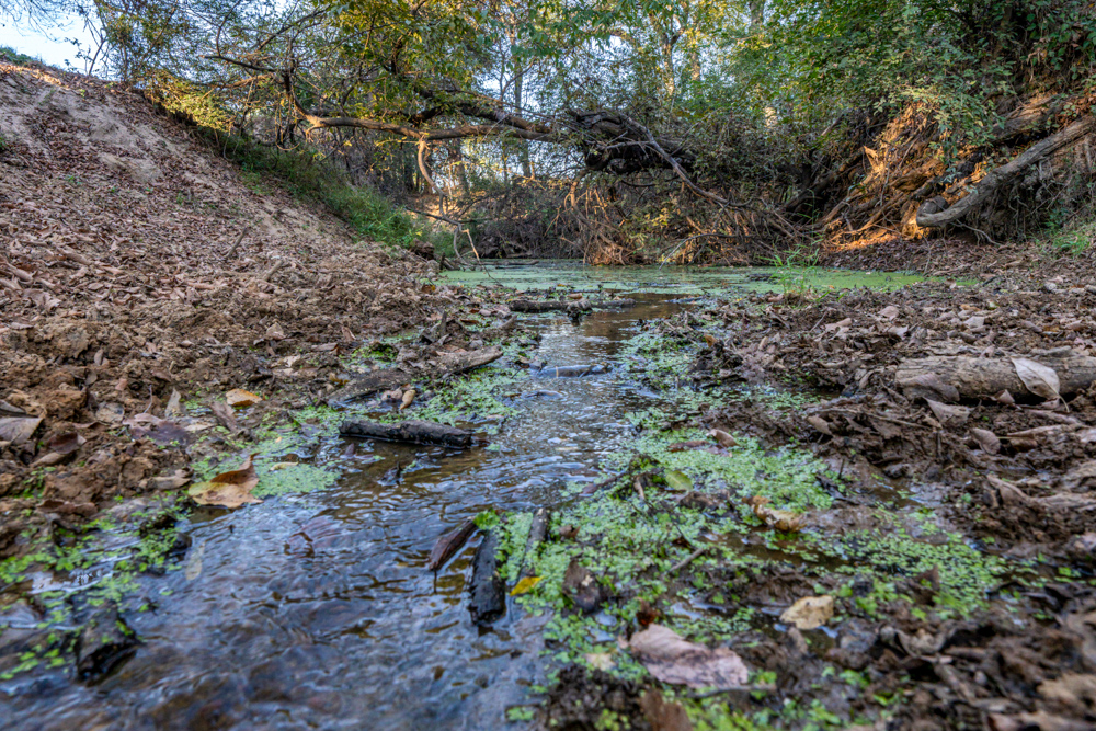 Stunning Multi-Purpose Farm Just 4 Minutes From Award Winning Bass Fishing on Lake Fork
