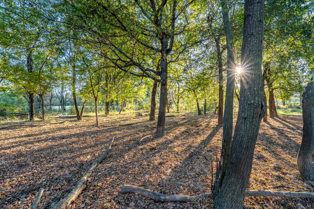Stunning Multi-Purpose Farm Just 4 Minutes From Award Winning Bass Fishing on Lake Fork