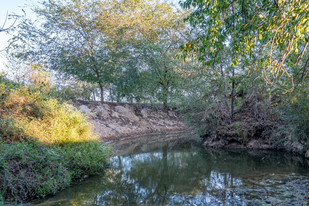 Stunning Multi-Purpose Farm Just 4 Minutes From Award Winning Bass Fishing on Lake Fork