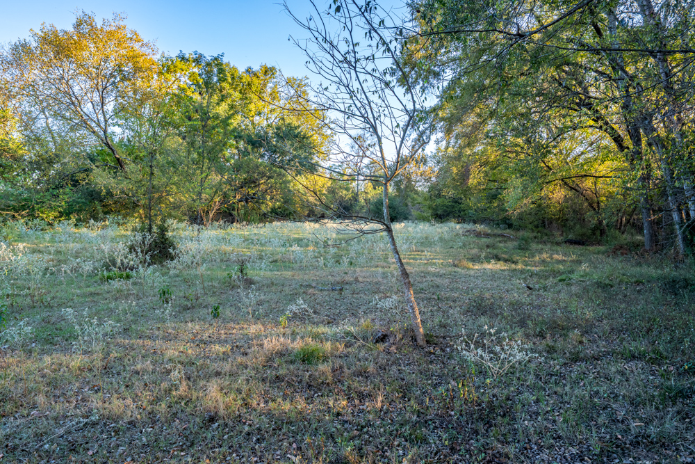 Stunning Multi-Purpose Farm Just 4 Minutes From Award Winning Bass Fishing on Lake Fork