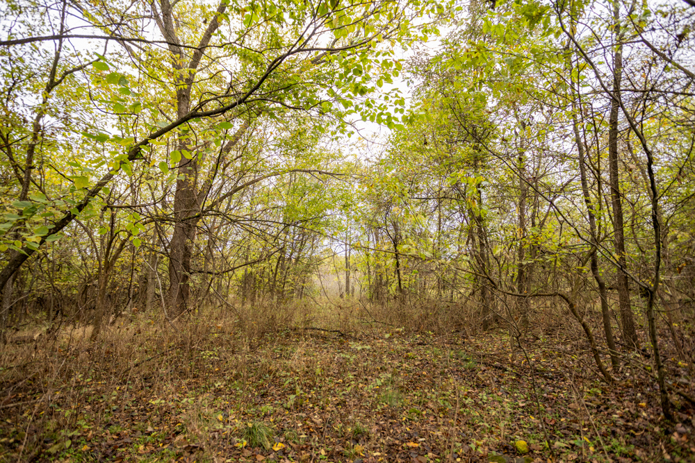 Recreational Property with Huge Potential Near Stockton Lake